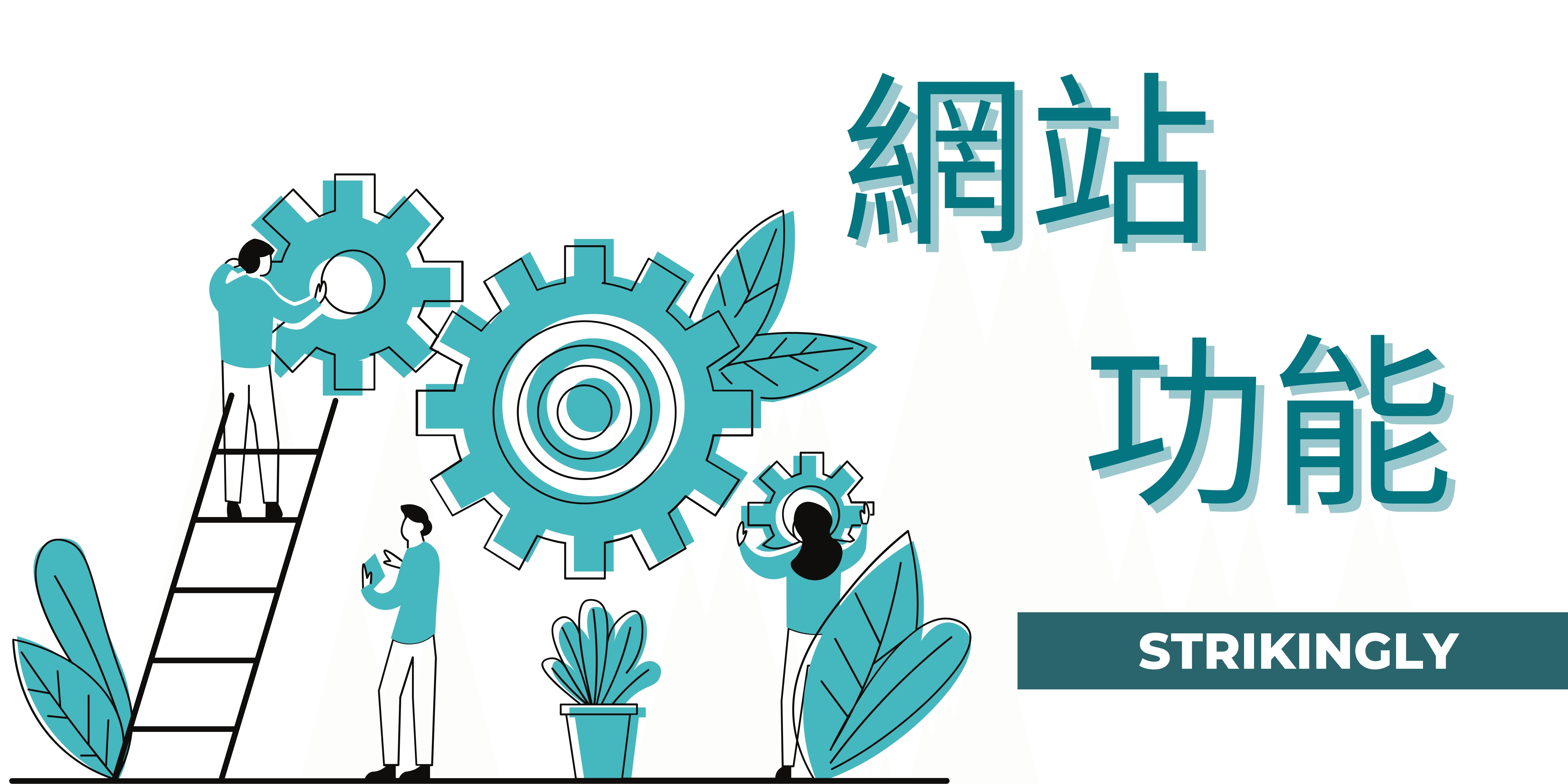 網站功能 網站功能